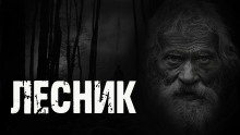 Лесник - Любовь Подина - Серии Аудиокниг 🔊 Цикл Аудиокниг 🆓 Литрес 100% Бесплатно