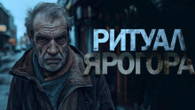 Ритуал Ярогора - Алекс Д - Серии Аудиокниг 🔊 Цикл Аудиокниг 🆓 Литрес 100% Бесплатно