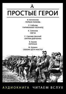 Простые герои (Сборник) - Серии Аудиокниг 🔊 Цикл Аудиокниг 🆓 Литрес 100% Бесплатно