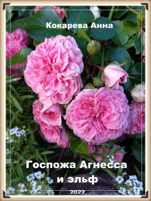 Госпожа Агнесса и эльф - Анна Кокарева - Серии Аудиокниг 🔊 Цикл Аудиокниг 🆓 Литрес 100% Бесплатно