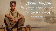 Бездомные мальчишки и весёлые коты - Джек Лондон - Серии Аудиокниг 🔊 Цикл Аудиокниг 🆓 Литрес 100% Бесплатно