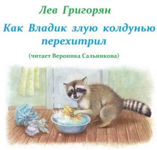 Как Владик злую колдунью перехитрил - Лев Григорян - Серии Аудиокниг 🔊 Цикл Аудиокниг 🆓 Литрес 100% Бесплатно