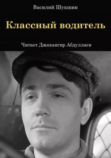 Классный водитель - Василий Шукшин - Серии Аудиокниг 🔊 Цикл Аудиокниг 🆓 Литрес 100% Бесплатно