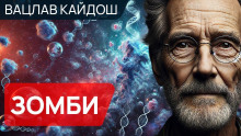 Зомби - Вацлав Кайдош - Серии Аудиокниг 🔊 Цикл Аудиокниг 🆓 Литрес 100% Бесплатно
