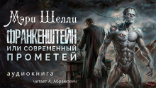 Франкенштейн, или современный Прометей - Мерри Шелли - Серии Аудиокниг 🔊 Цикл Аудиокниг 🆓 Литрес 100% Бесплатно