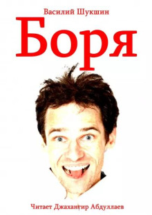 Боря - Василий Шукшин - Серии Аудиокниг 🔊 Цикл Аудиокниг 🆓 Литрес 100% Бесплатно