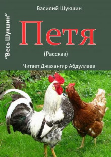 Петя - Василий Шукшин - Серии Аудиокниг 🔊 Цикл Аудиокниг 🆓 Литрес 100% Бесплатно