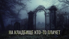На кладбище кто-то плачет - Олег Новгородов - Серии Аудиокниг 🔊 Цикл Аудиокниг 🆓 Литрес 100% Бесплатно