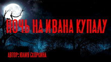 Ночь на Ивана Купалу - Юлия Скоркина - Серии Аудиокниг 🔊 Цикл Аудиокниг 🆓 Литрес 100% Бесплатно
