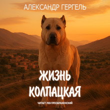 Жизнь колпацкая - Александр Гергель - Серии Аудиокниг 🔊 Цикл Аудиокниг 🆓 Литрес 100% Бесплатно