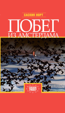 Побег из Амстердама - Саския Норт - Серии Аудиокниг 🔊 Цикл Аудиокниг 🆓 Литрес 100% Бесплатно