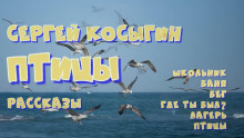 Сборник рассказов - Сергей Косыгин - Серии Аудиокниг 🔊 Цикл Аудиокниг 🆓 Литрес 100% Бесплатно