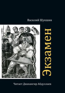 Экзамен - Василий Шукшин - Серии Аудиокниг 🔊 Цикл Аудиокниг 🆓 Литрес 100% Бесплатно