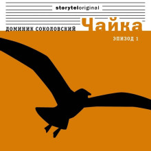Чайка - Доминик Соколовский - Серии Аудиокниг 🔊 Цикл Аудиокниг 🆓 Литрес 100% Бесплатно