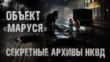 Секретные архивы НКВД. Объект "Маруся" - Максим Никитин - Серии Аудиокниг 🔊 Цикл Аудиокниг 🆓 Литрес 100% Бесплатно