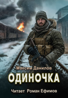 Одиночка - Максим Данилов - Серии Аудиокниг 🔊 Цикл Аудиокниг 🆓 Литрес 100% Бесплатно