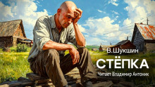 Стёпка - Василий Шукшин - Серии Аудиокниг 🔊 Цикл Аудиокниг 🆓 Литрес 100% Бесплатно
