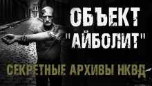 Секретные архивы НКВД. Объект "Айболит" - Максим Никитин - Серии Аудиокниг 🔊 Цикл Аудиокниг 🆓 Литрес 100% Бесплатно
