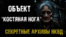 Секретные архивы НКВД. Объект "Костяная нога" - Максим Никитин - Серии Аудиокниг 🔊 Цикл Аудиокниг 🆓 Литрес 100% Бесплатно