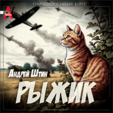 Рыжик - Андрей Штин - Серии Аудиокниг 🔊 Цикл Аудиокниг 🆓 Литрес 100% Бесплатно