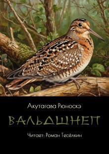 Вальдшнеп - Рюноскэ Акутагава - Серии Аудиокниг 🔊 Цикл Аудиокниг 🆓 Литрес 100% Бесплатно