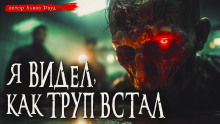 Общество чистых тарелок - Иван Миронов - Серии Аудиокниг 🔊 Цикл Аудиокниг 🆓 Литрес 100% Бесплатно