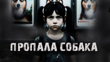 Пропала собака! - Александр Радченко - Серии Аудиокниг 🔊 Цикл Аудиокниг 🆓 Литрес 100% Бесплатно