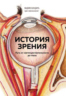 История зрения: путь от светочувствительности до глаза - Бондарь Вадим - Серии Аудиокниг 🔊 Цикл Аудиокниг 🆓 Литрес 100% Бесплатно