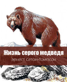 Жизнь серого медведя - Эрнест Сетон-Томпсон - Серии Аудиокниг 🔊 Цикл Аудиокниг 🆓 Литрес 100% Бесплатно