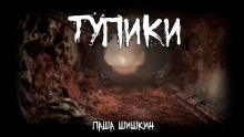 Тупики - Паша Шишкин - Серии Аудиокниг 🔊 Цикл Аудиокниг 🆓 Литрес 100% Бесплатно