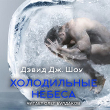 Холодильные небеса - Дэвид Дж. Шоу - Серии Аудиокниг 🔊 Цикл Аудиокниг 🆓 Литрес 100% Бесплатно