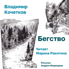 Бегство - Владимир Кочетков - Серии Аудиокниг 🔊 Цикл Аудиокниг 🆓 Литрес 100% Бесплатно