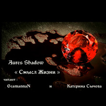 Смысл жизни - Aures Shadow - Серии Аудиокниг 🔊 Цикл Аудиокниг 🆓 Литрес 100% Бесплатно