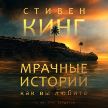 Мрачные истории, как вы любите - Стивен Кинг - Серии Аудиокниг 🔊 Цикл Аудиокниг 🆓 Литрес 100% Бесплатно