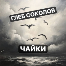 Чайки - Глеб Соколов - Серии Аудиокниг 🔊 Цикл Аудиокниг 🆓 Литрес 100% Бесплатно
