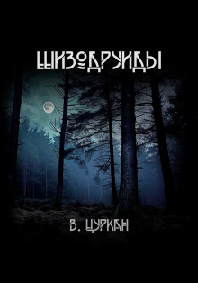 Шизодруиды - Валерий Цуркан - Серии Аудиокниг 🔊 Цикл Аудиокниг 🆓 Литрес 100% Бесплатно