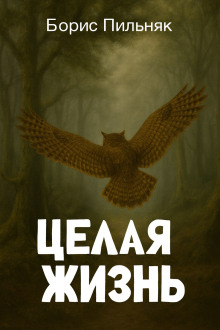 Целая жизнь - Борис Пильняк - Серии Аудиокниг 🔊 Цикл Аудиокниг 🆓 Литрес 100% Бесплатно