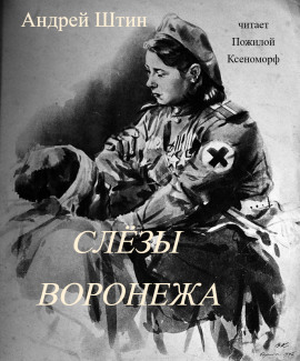 Слёзы Воронежа - Автор неизвестен - Серии Аудиокниг 🔊 Цикл Аудиокниг 🆓 Литрес 100% Бесплатно