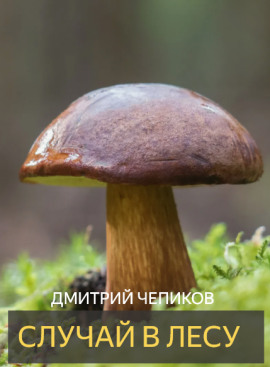 Случай в лесу - Дмитрий Чепиков - Серии Аудиокниг 🔊 Цикл Аудиокниг 🆓 Литрес 100% Бесплатно