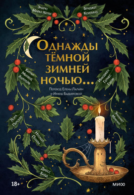 Однажды тёмной зимней ночью… - Элизабет Макнил - Серии Аудиокниг 🔊 Цикл Аудиокниг 🆓 Литрес 100% Бесплатно