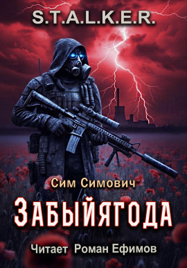 S.T.A.L.K.E.R. Забыйягода - Сим Симович - Серии Аудиокниг 🔊 Цикл Аудиокниг 🆓 Литрес 100% Бесплатно