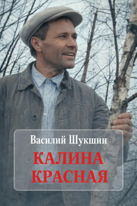 Калина красная - Василий Шукшин - Серии Аудиокниг 🔊 Цикл Аудиокниг 🆓 Литрес 100% Бесплатно