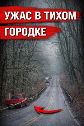Упала с моста - Автор неизвестен - Серии Аудиокниг 🔊 Цикл Аудиокниг 🆓 Литрес 100% Бесплатно