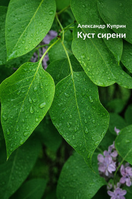 Куст сирени - Александр Куприн - Серии Аудиокниг 🔊 Цикл Аудиокниг 🆓 Литрес 100% Бесплатно