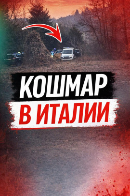 Чемодан среди леса - Автор неизвестен - Серии Аудиокниг 🔊 Цикл Аудиокниг 🆓 Литрес 100% Бесплатно