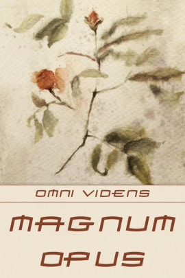 Magnum opus - Omni Videns - Серии Аудиокниг 🔊 Цикл Аудиокниг 🆓 Литрес 100% Бесплатно