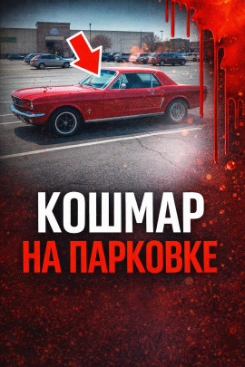 34 года поиска - Автор неизвестен - Серии Аудиокниг 🔊 Цикл Аудиокниг 🆓 Литрес 100% Бесплатно