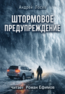 Штормовое предупреждение - Андрей Лосев - Серии Аудиокниг 🔊 Цикл Аудиокниг 🆓 Литрес 100% Бесплатно