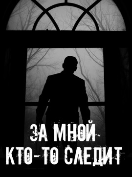 За мной кто-то следит - Автор неизвестен - Серии Аудиокниг 🔊 Цикл Аудиокниг 🆓 Литрес 100% Бесплатно