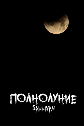 Полнолуние - Sallivan - Серии Аудиокниг 🔊 Цикл Аудиокниг 🆓 Литрес 100% Бесплатно
